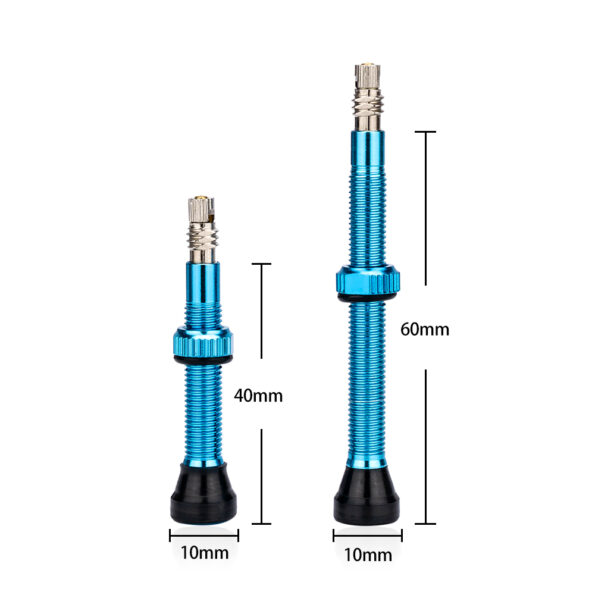 ZTTO-FV-Tubeless-Valves-40mm-60mm-French-Tyre-F-V-No-Tubes-Presta-Valve-For-MTB-1.jpg