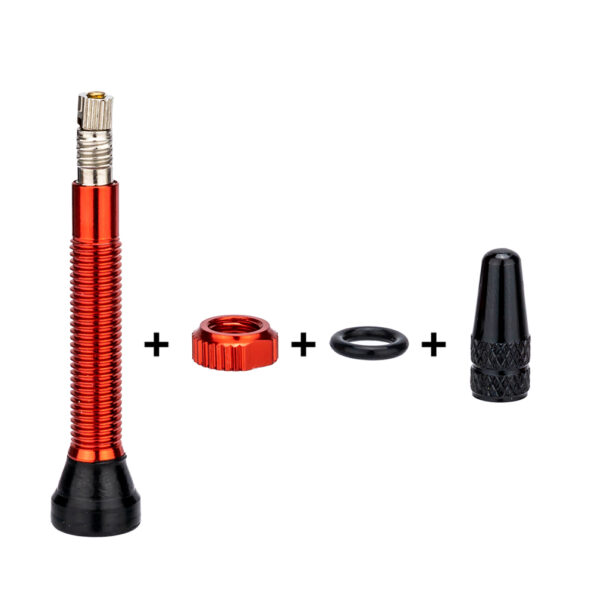 ZTTO-FV-Tubeless-Valves-40mm-60mm-French-Tyre-F-V-No-Tubes-Presta-Valve-For-MTB-3.jpg