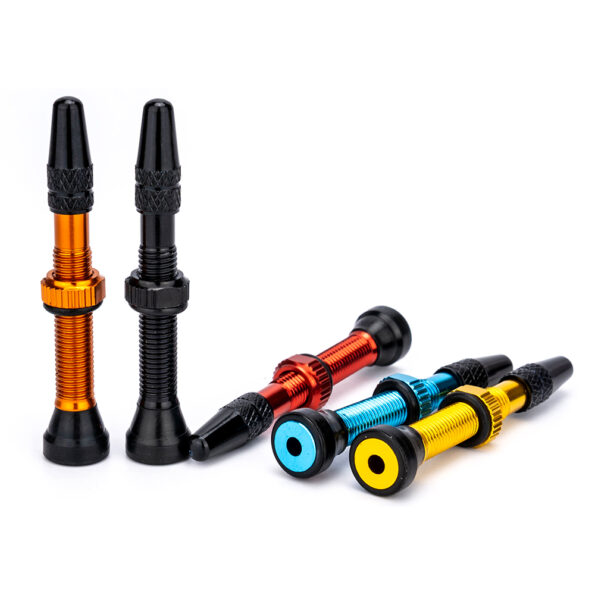 ZTTO-FV-Tubeless-Valves-40mm-60mm-French-Tyre-F-V-No-Tubes-Presta-Valve-For-MTB-4.jpg