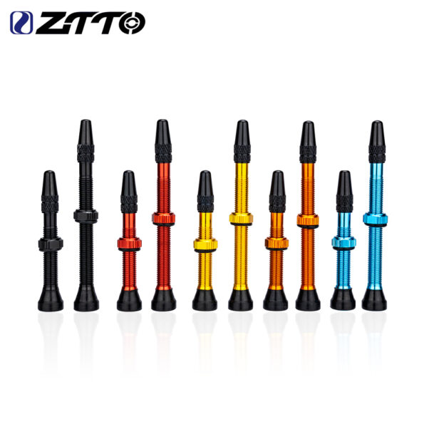 ZTTO-FV-Tubeless-Valves-40mm-60mm-French-Tyre-F-V-No-Tubes-Presta-Valve-For-MTB.jpg